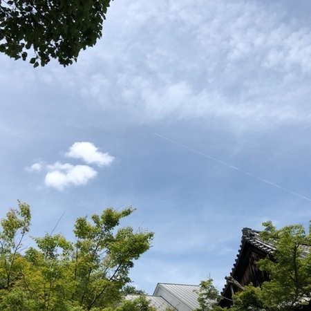 2020年6月　大阪　離宮の水　水無瀬神宮　ひこうき雲.JPG