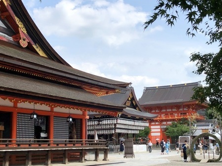 2020年8月 八坂神社 ときめきな日々.JPG