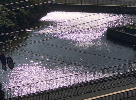 2021.4.5池.jpg