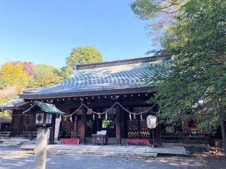 20231108　水無瀬神宮　minasejingu.JPG