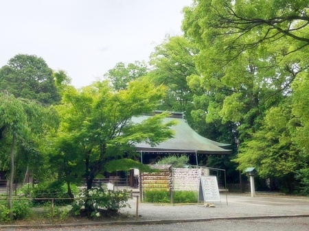 20240531　水無瀬神宮　minasejingu (2).JPG