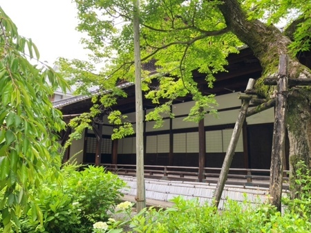 20240531　水無瀬神宮　minasejingu (4).JPG