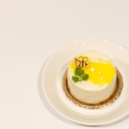 20240615　シャノワール松井山手店　Chat noir (5).JPG