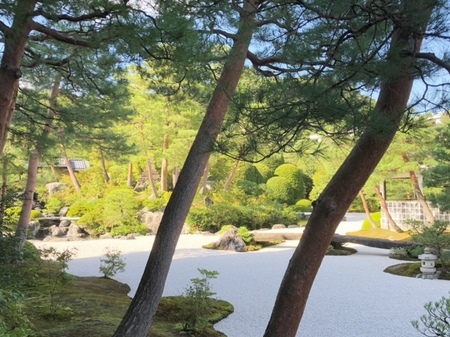 20240916　足立美術館　Adachi museum of art (5).JPG