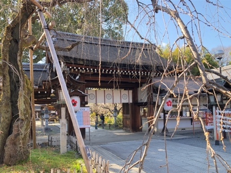 20250309　平野神社　Hirano jinja (3).JPG