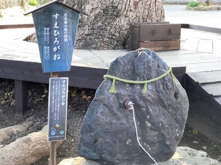 20250309　平野神社　Hirano jinja (8).JPG