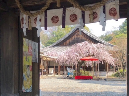 20250326　Minasejingu.JPG