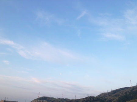 20250417　朝空.JPG
