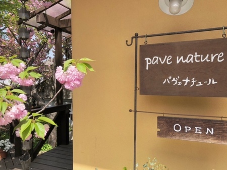 20250419 Pave nature.JPG