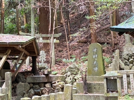 20250429　Oiwa shrine (10).JPG
