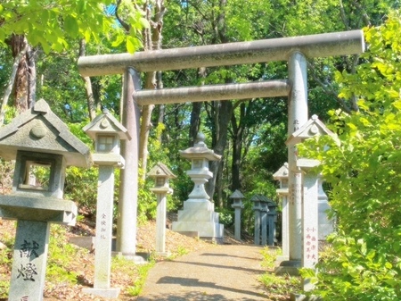 20250429　Oiwa shrine (2).JPG