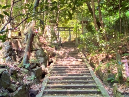 20250429　Oiwa shrine (6).JPG