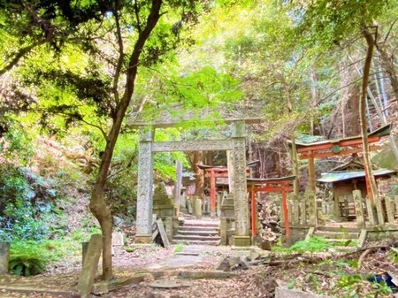 20250429　Oiwa shrine (7).JPG