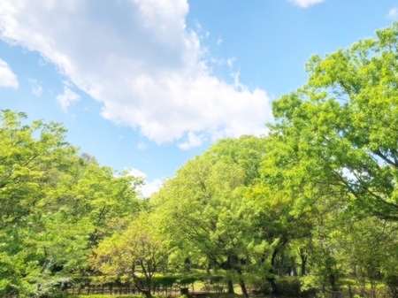 20250429　Takaragaike park (14).JPG