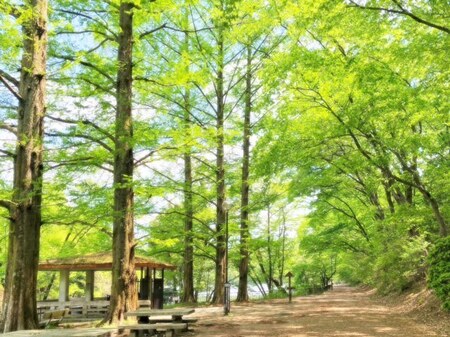 20250429　Takaragaike park (8).JPG