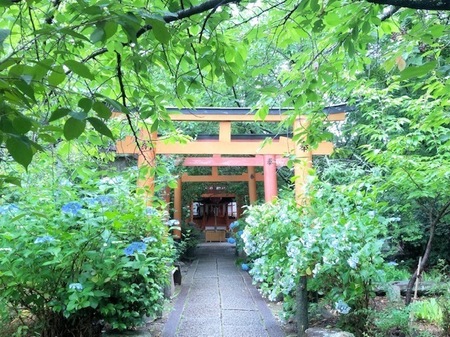 20250615　Hirano jinja (10).jpg