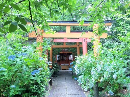 20250615　Hirano jinja (11).JPG