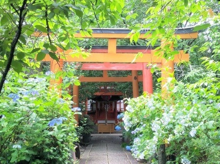 20250615　Hirano jinja (3).jpg