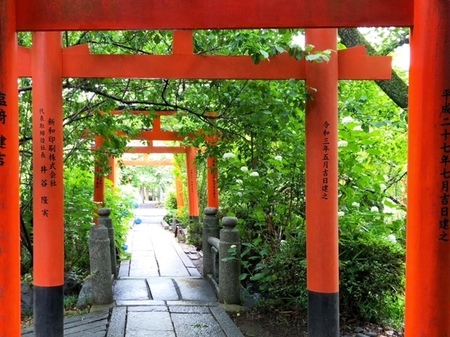 20250615　Hirano jinja (6).JPG