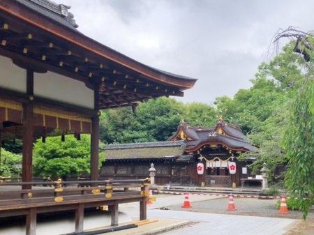 20250615　Hirano jinja (8).JPG