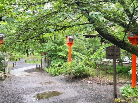 20250615　Hirano jinja (9).JPG