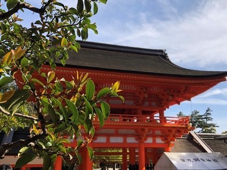 上賀茂神社 20230423.JPG