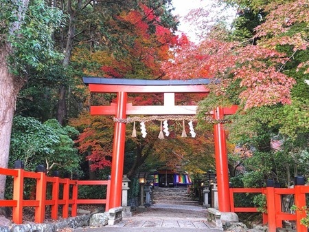 京都　上賀茂神社　大田神社　Ota-jinja Shrine Otajinja  (2).JPG