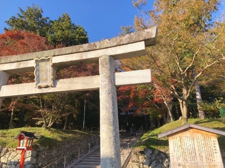 京都　大原野神社　紅葉　oharanojinja .JPG