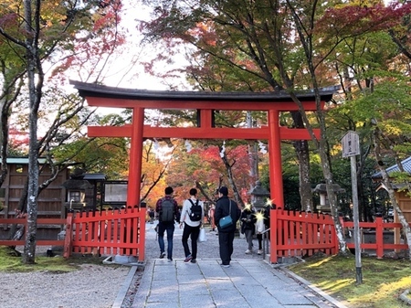 京都　大原野神社　紅葉　oharanojinja  (3).JPG