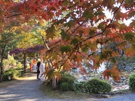 京都　大原野神社　紅葉　oharanojinja  (7).JPG
