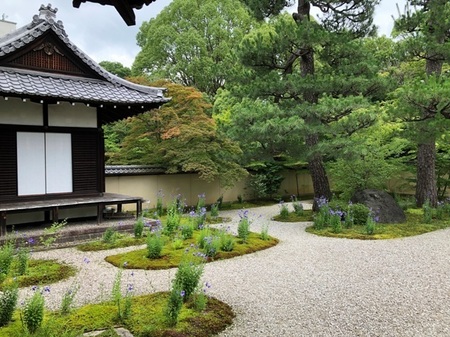 京都　廬山寺　源氏庭　rozanji genjitei  (12).JPG