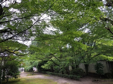 京都　廬山寺　rozanji  (11).JPG