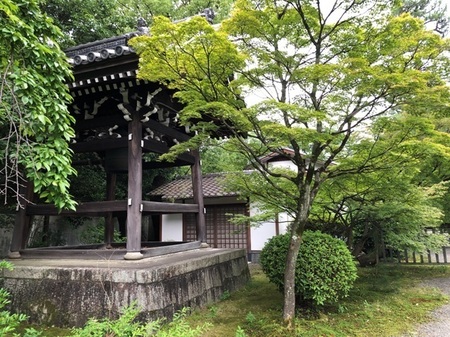 京都　廬山寺　rozanji  (5).JPG