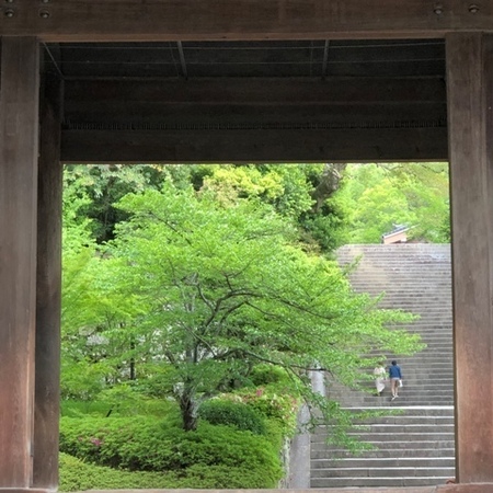 京都 知恩院 (2).jpg
