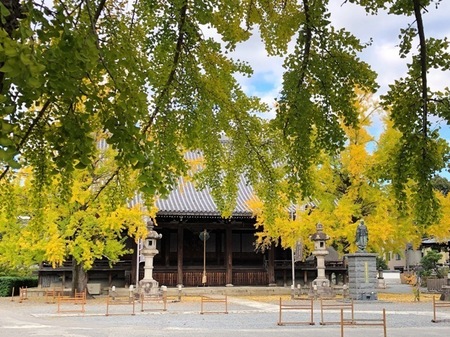 京都 頂妙寺.JPG