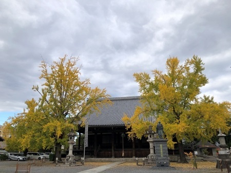 京都　頂妙寺 (2).JPG