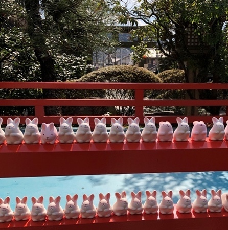 京都東山 岡崎神社 うさぎみくじ.jpg