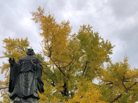 京都紅葉 頂妙寺 (2).jpg