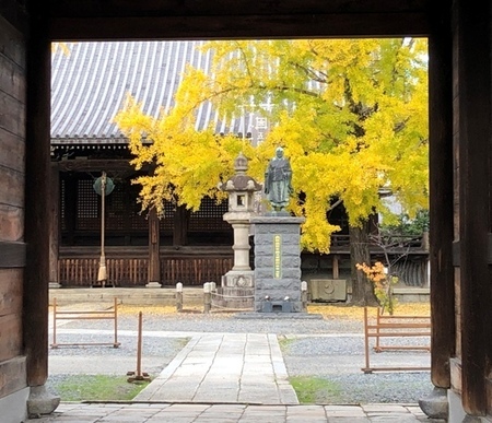 京都紅葉　頂妙寺 (7).jpg