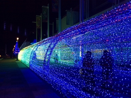 大阪　海遊館　イルミネーション.JPG