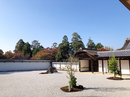 曼殊院門跡 盲亀浮木の庭 　manshuinmonzeki   (2).JPG
