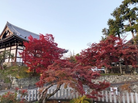 金戒光明寺　konkai komyoji temple konkai-komyoji temple  (3).JPG