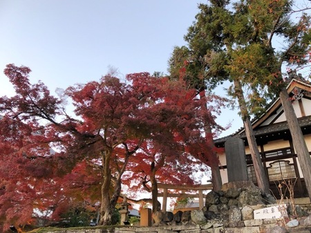 金戒光明寺　konkai komyoji temple konkai-komyoji temple  (5).JPG